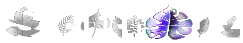 Softhauz